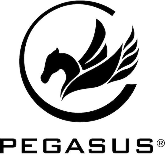 Pegasus Trainer Χ1 Aparat multifuncțional de fitness cu greutăți 250kg