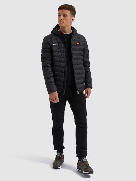 Lombardy Winter Jacket Puffer Anthracite