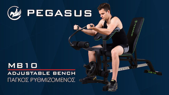 Pegasus MB10 Einstellbar Workout-Bank Bizeps