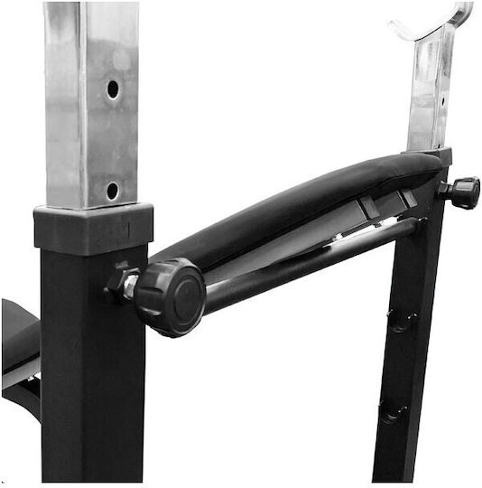 Pegasus W-359 Incline Workout Bench Biceps with Stands