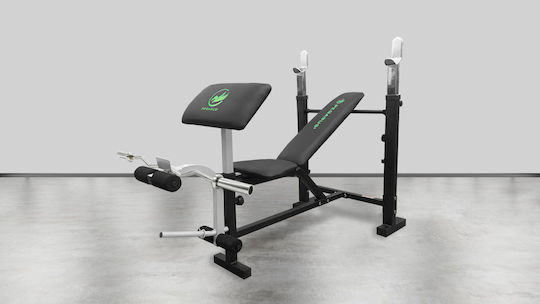 Pegasus W-359 Incline Workout Bench Biceps with Stands