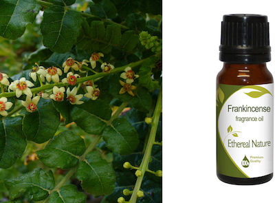 Nature & Body Essential Oil Frankincense 10ml