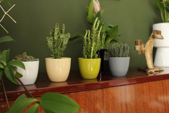 Polnix Plant Pot Ceramic Green