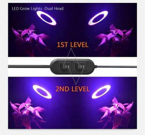 Desk Grow Light with LED
