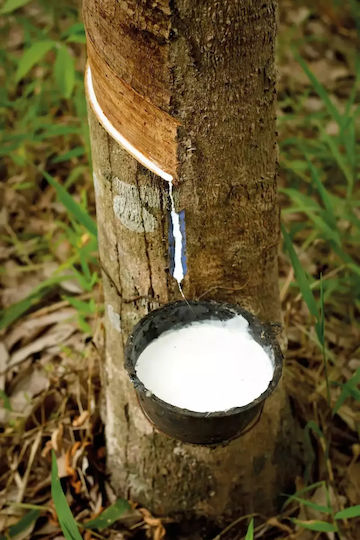 Greco Strom Ortopedic Saltea Pentru Patut Ecată cu Nucă de cocos 70cmx140cm