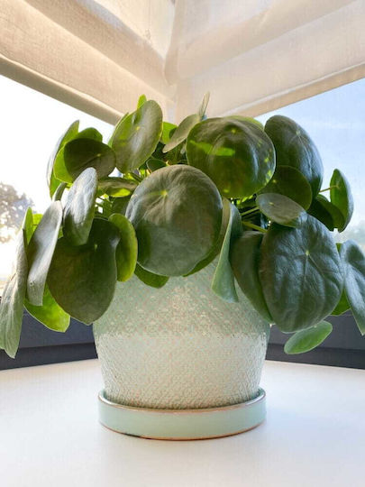 Polnix Vintage Plant Pot Ceramic Turquoise
