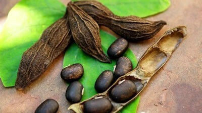 Biovea Mucuna Dopa 250мг 60 Растителни Капсули