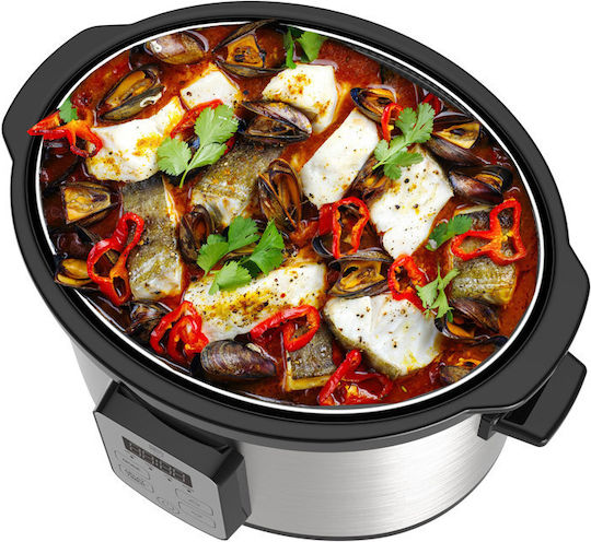 Camry Slow Cooker 270W With Capacity 4.7lt Silver