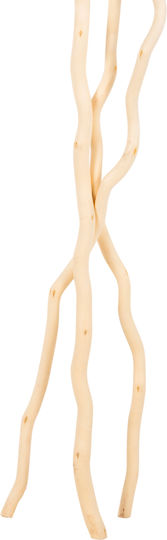 Getrocknete Pflanze Weiß 180cm 3Stück HomeMarkt