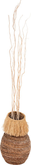 Getrocknete Weide Pflanze Ecru 170cm 5Stücke HomeMarkt