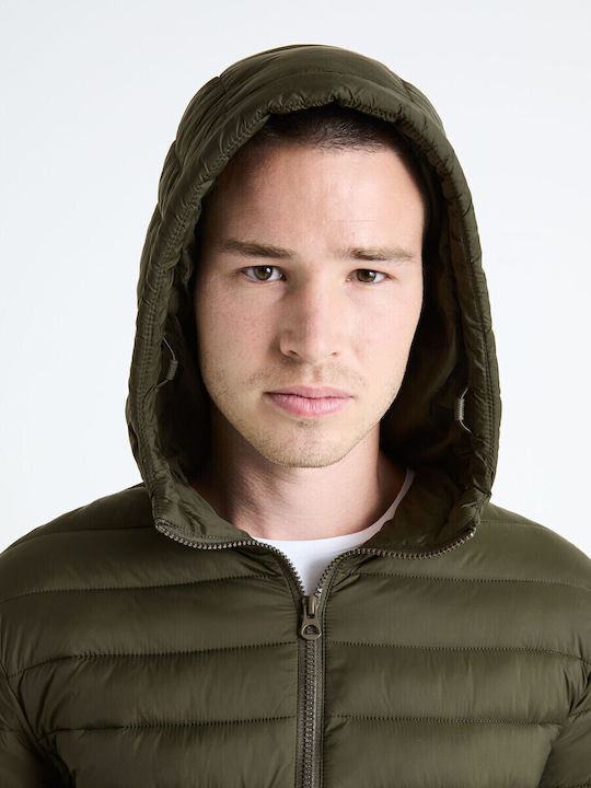 Winter Jacket caqui