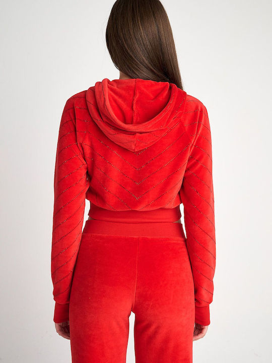 SugarFree Women's Hooded Velvet Cardigan Red