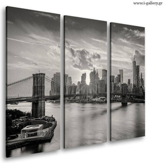 I-gallery Τρίπτυχος Πίνακας σε Καμβά 100x100cm