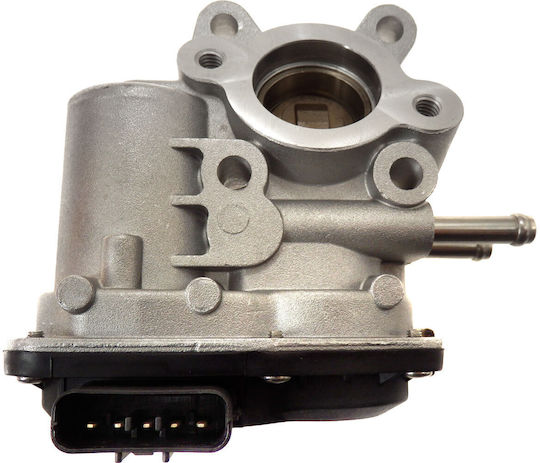 Car EGR valve