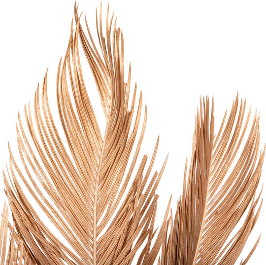 Plantă Uscată Palmier Auriu HomeMarkt