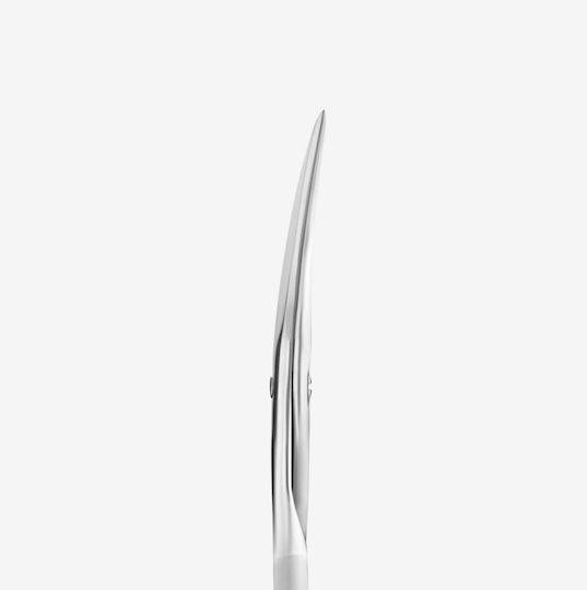 Staleks Nail Scissors Stainless With Curved Tip Silver 65724 1 Piece
