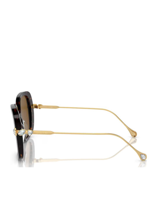 Swarovski Feminini Ochelari de soare cu Maro Tortoise Cadru și Maro Polarized Lentilă 100283