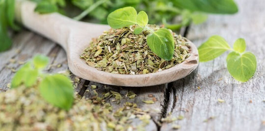 Now Foods Oregano Oil 90 софтджел
