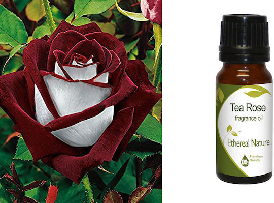 Nature & Body Αρωματικό Έλαιο Τριαντάφυλλου 10ml