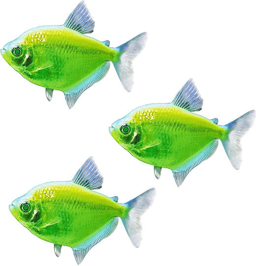 Ruinemans Aquarium Ψάρι Ενυδρείου