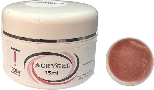 Trendy Color Cosmetics Acrygel Νυχιών 15gr