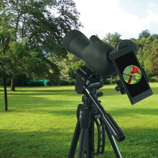Braun Phototechnik smartphone holder for spotting scopes Αξεσουάρ Στήριξης Φωτογραφικής