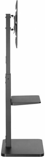 Equip TV Mount Floor up to 75" and 40kg