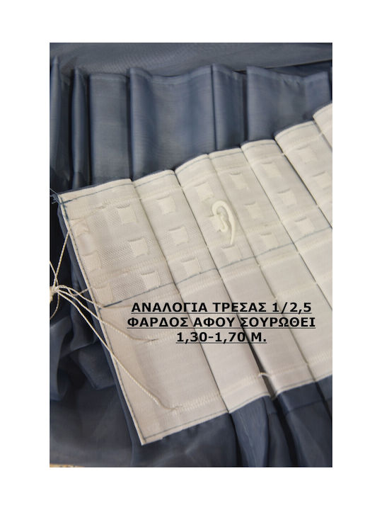 Decotelia Κουρτίνα με Τρέσα Μπλε 400x280εκ.