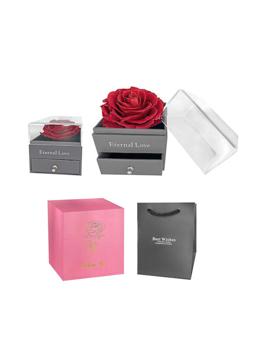 Allerheiligen Rose Rot in Box HOMie Allerheiligen Rose Rot in Box HOMie