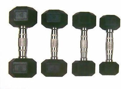 Optimum Hexagon Dumbbell 1 x 9kg