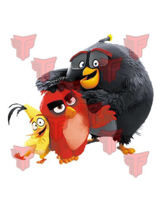 Takeposition Angry Birds Forever Φούτερ Γκρι