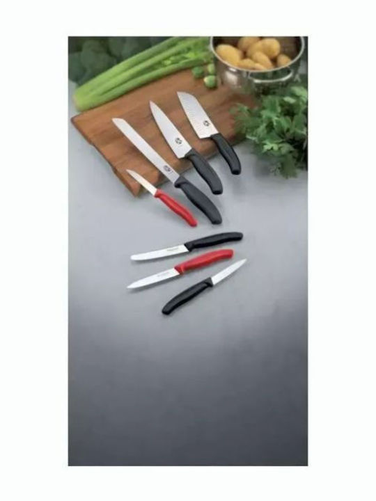 Victorinox Peeling Knife of Stainless Steel 6cm 038.50503