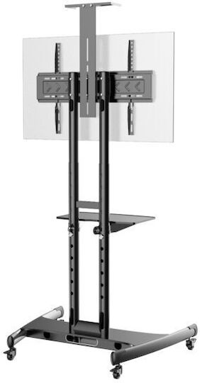 Axred ZEUS Βάση Τηλεόρασης Δαπέδου έως 80" και 45.5kg