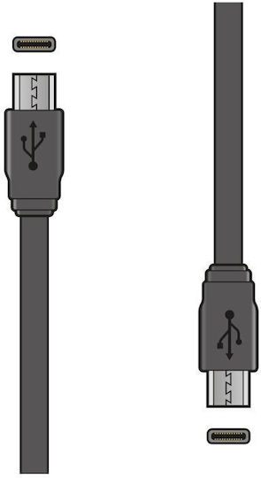 AvLink Flat USB 2.0 Cablu USB-C bărbătesc - USB-C Negru 0.2m (113.015UK)