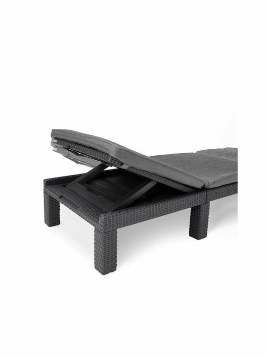 Ξαπλώστρα Rattan Γκρι 187x58x29εκ.