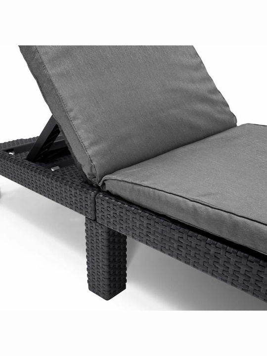 Ξαπλώστρα Rattan Γκρι 187x58x29εκ.
