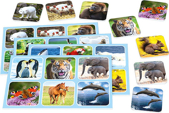 Brettspiel Zoo Lotto 3+ Jahre (GER) Schmidt Spiele