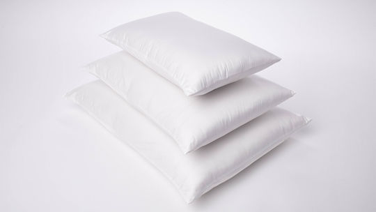 CMSpa Bumbac Moale 00080155 65x65cm