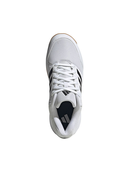 Speedcourt Sport Shoes Volleyball Cloud White / Core Black / Gum