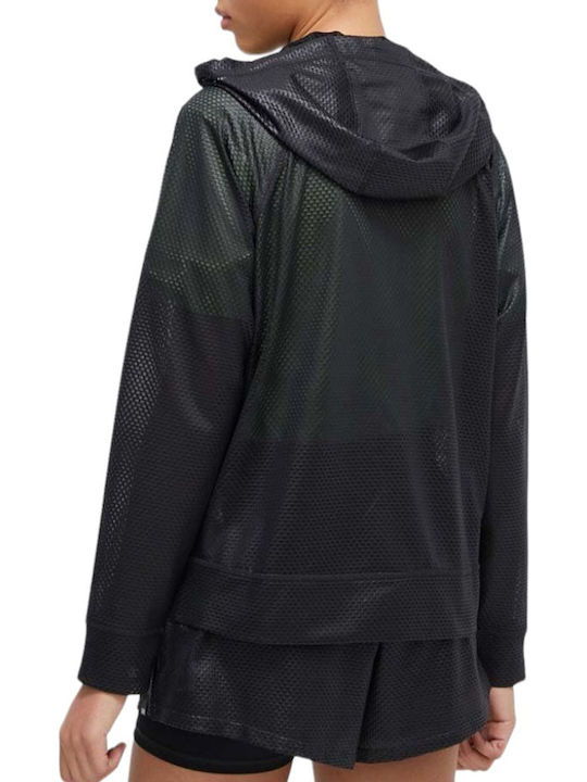 DKNY