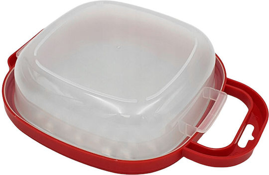Grater for Fruits & Vegetables with Container 19x19x5.5cm