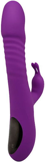 Alive Romax Δονητής Rabbit 24.45cm Purple