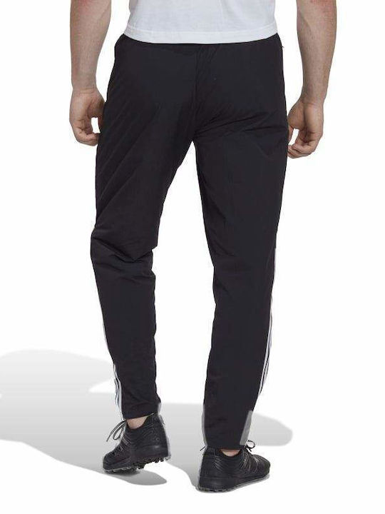 Adidas Tiro 23 Competition Presentation Herren-Sweatpants Schwarz