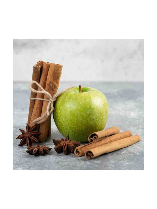 Green Αρωματικό Wax Melt με Άρωμα Green Apple & Cinnamon Daycorhouse 77403 55gr
