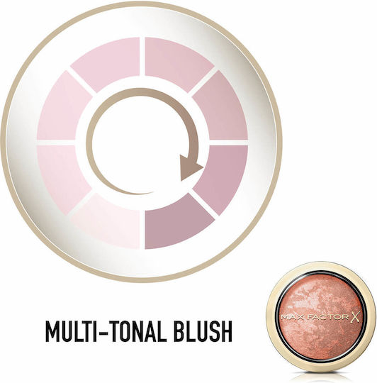 Max Factor Rouge & Blush 10 Nude Mauve 1,5 g