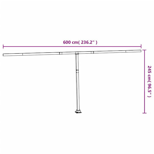 vidaXL Stâlpi Tentei din Metal 600x245cm 1buc