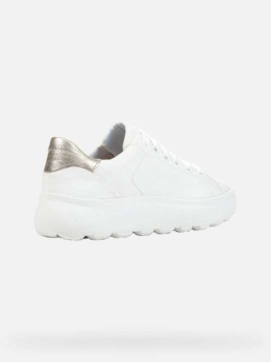 Ec4.1 Sneakers White / Gold