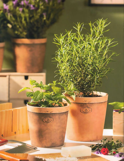 Toscana Luminoso Plant Pot Beige Toscana Luminoso Plant Pot Beige