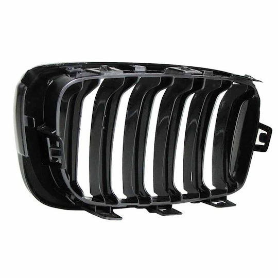 Carner Car Decorative Mask BMW F32