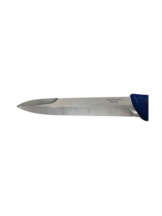 Μαχαίρι Chef από Ανοξείδωτο Ατσάλι 32cm